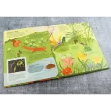 Растения. От петрушки до секвойи