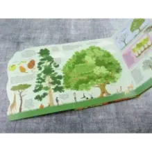 Растения. От петрушки до секвойи