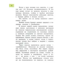 Оруженосец Кашка