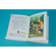 Оруженосец Кашка