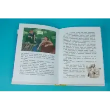 Оруженосец Кашка