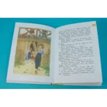 Оруженосец Кашка