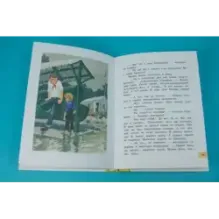 Оруженосец Кашка