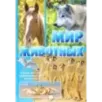 Мир животных. Открой для себя удивительный мир животных!