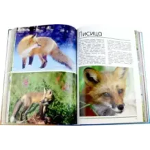 Мир животных. Открой для себя удивительный мир животных!