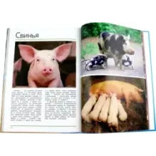 Мир животных. Открой для себя удивительный мир животных!