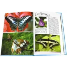 Мир животных. Открой для себя удивительный мир животных!