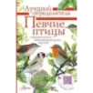 Певчие птицы. Средняя полоса европейской части России. Определитель с голосами птиц