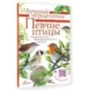 Певчие птицы. Средняя полоса европейской части России. Определитель с голосами птиц