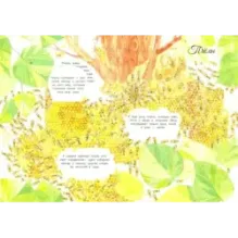 Мистер Жук и его соседи. Путешествие в мир насекомых