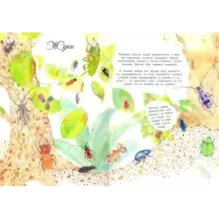 Мистер Жук и его соседи. Путешествие в мир насекомых