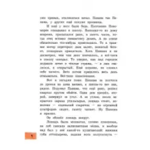 Самый красивый конь