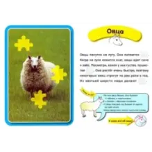 Я знаю всё о животных