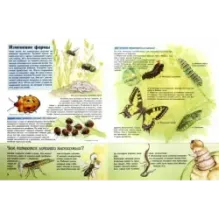 Удивительный мир животных. Вопросы и ответы