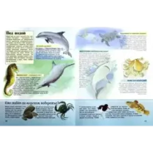 Удивительный мир животных. Вопросы и ответы