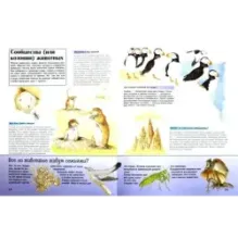 Удивительный мир животных. Вопросы и ответы