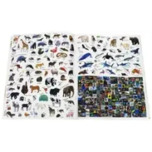 Наша планета. Животные