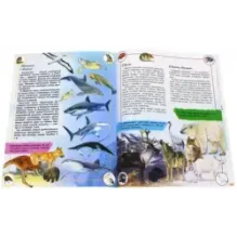 Наша планета. Животные