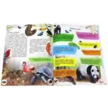 Наша планета. Животные