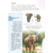 Смотри и учись. На суше и в море