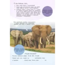 Смотри и учись. На суше и в море