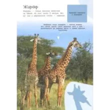 Смотри и учись. На суше и в море