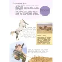 Смотри и учись. На ферме