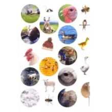 Смотри и учись. На ферме