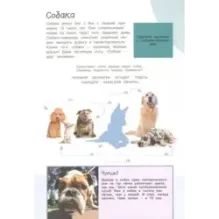 Смотри и учись. Наши питомцы