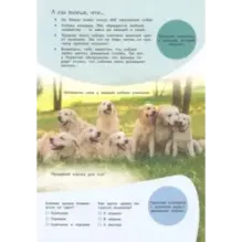 Смотри и учись. Наши питомцы