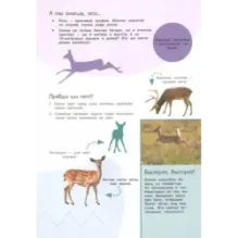 Смотри и учись. Жители леса