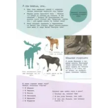 Смотри и учись. Жители леса