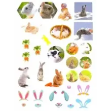 Зверята + наклейки. Кролики