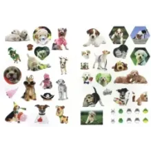 Зверята + наклейки. Щенята