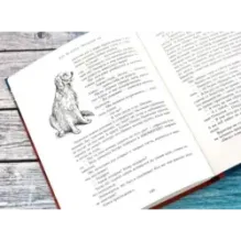 Звёздный пёс