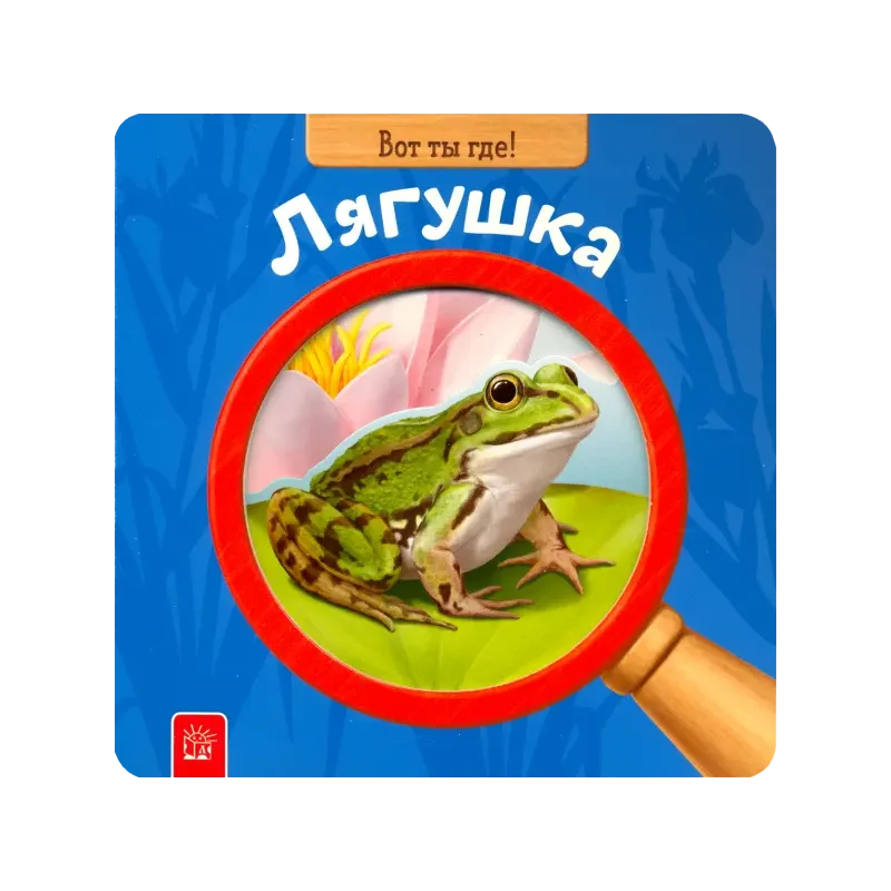 Вот ты где! Лягушка