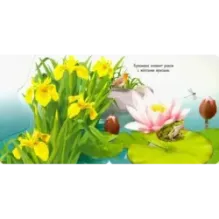 Вот ты где! Лягушка