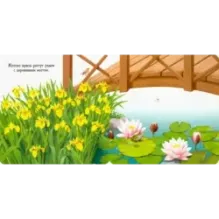 Вот ты где! Лягушка