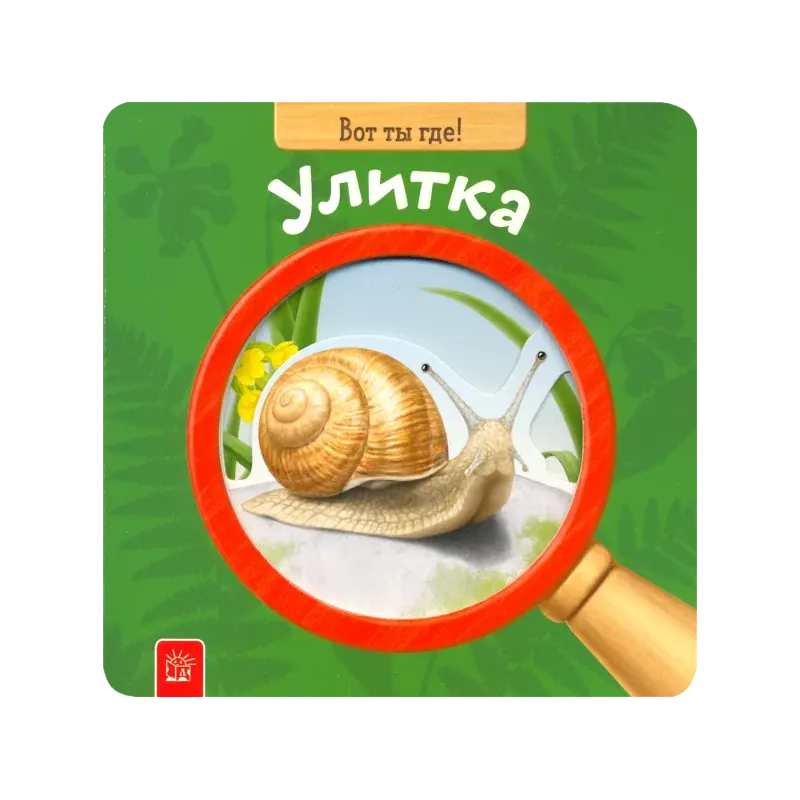 Вот ты где! Улитка