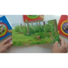 Вот ты где! Улитка