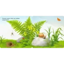 Вот ты где! Улитка