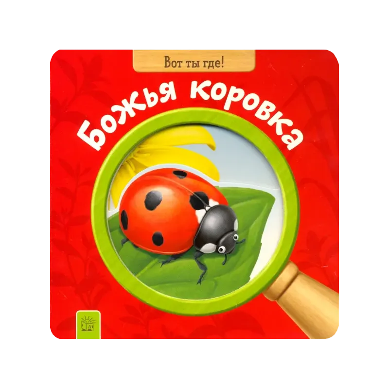 Вот ты где! Божья коровка