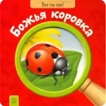 Вот ты где! Божья коровка
