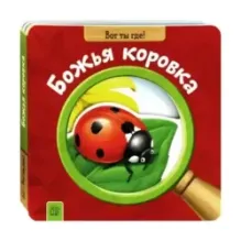 Вот ты где! Божья коровка