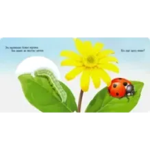 Вот ты где! Божья коровка