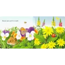 Вот ты где! Божья коровка