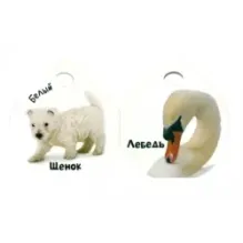 Крошки-ладошки. Цвета