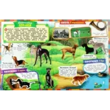 Все-все-все про собак