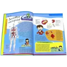 Тело человека. Нескучная анатомия