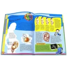 Тело человека. Нескучная анатомия